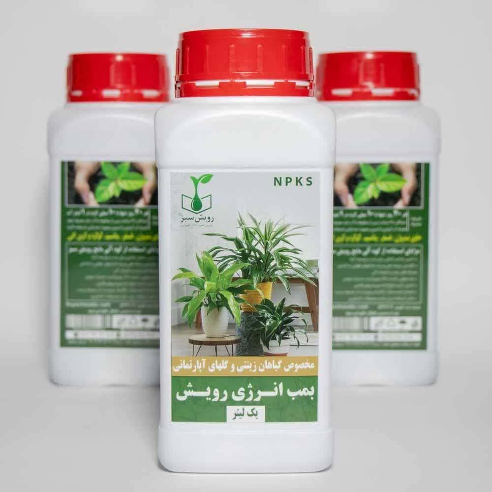 بمب انرژی رویش npks مخصوص گل های آپارتمانی