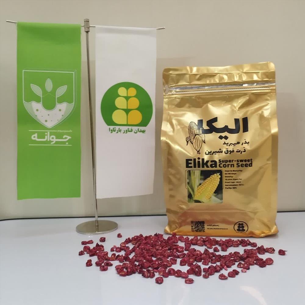 بذر هیبرید ذرت فوق شیرین با نام الیکا